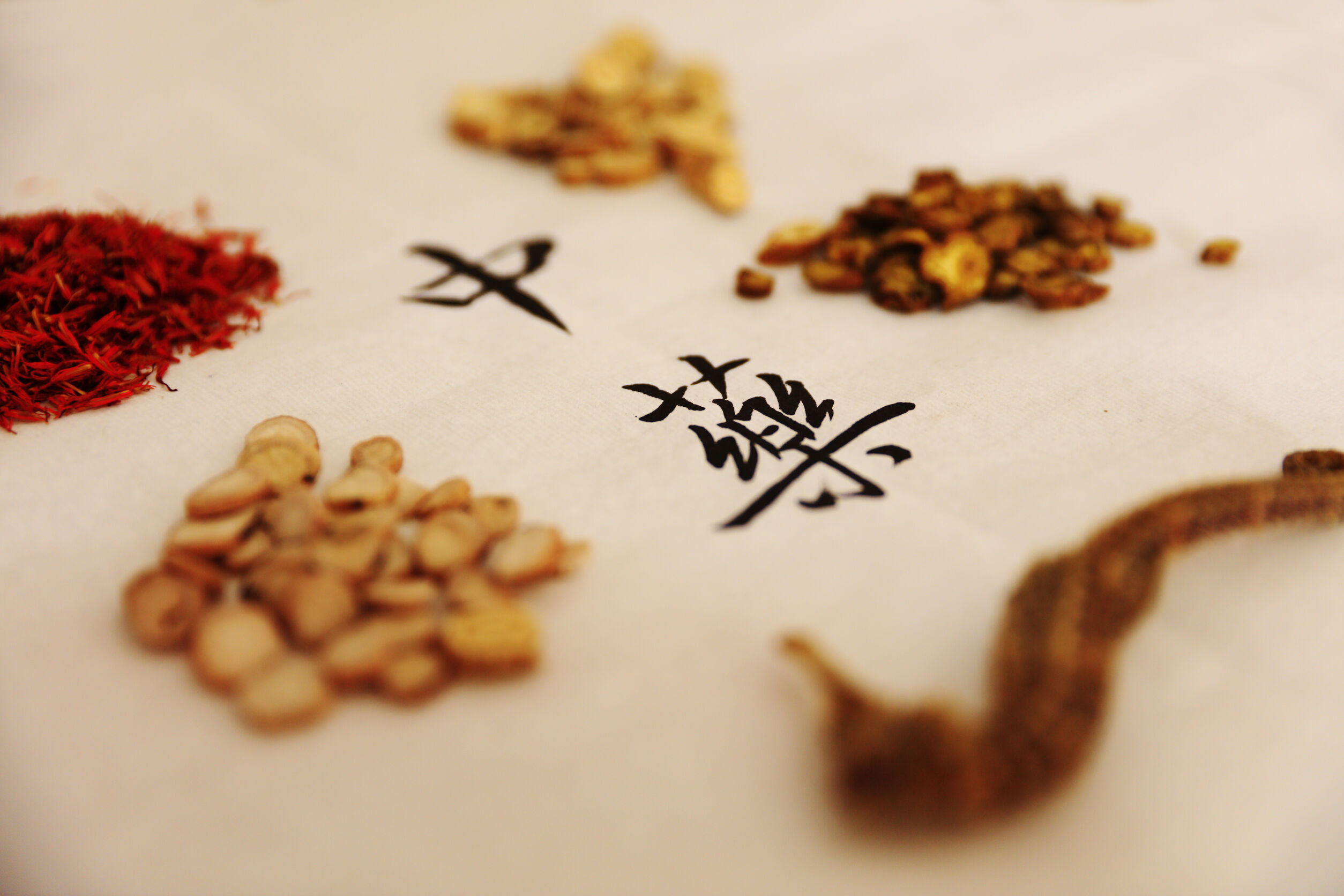 154438187_l 154438187_l