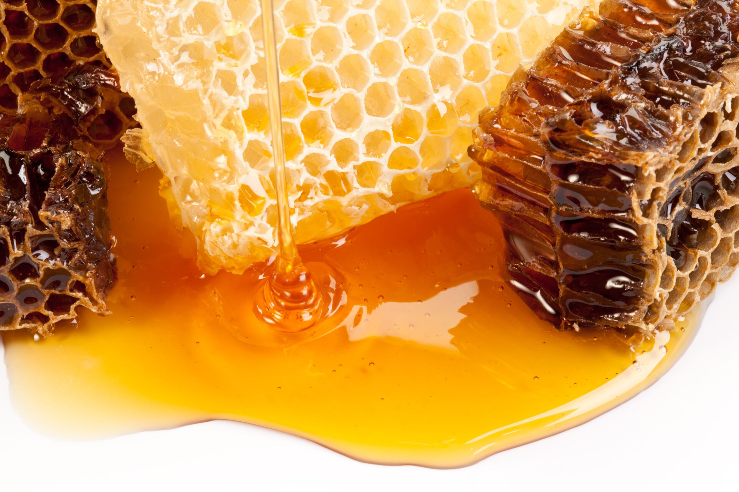 10298988_l 10298988_l