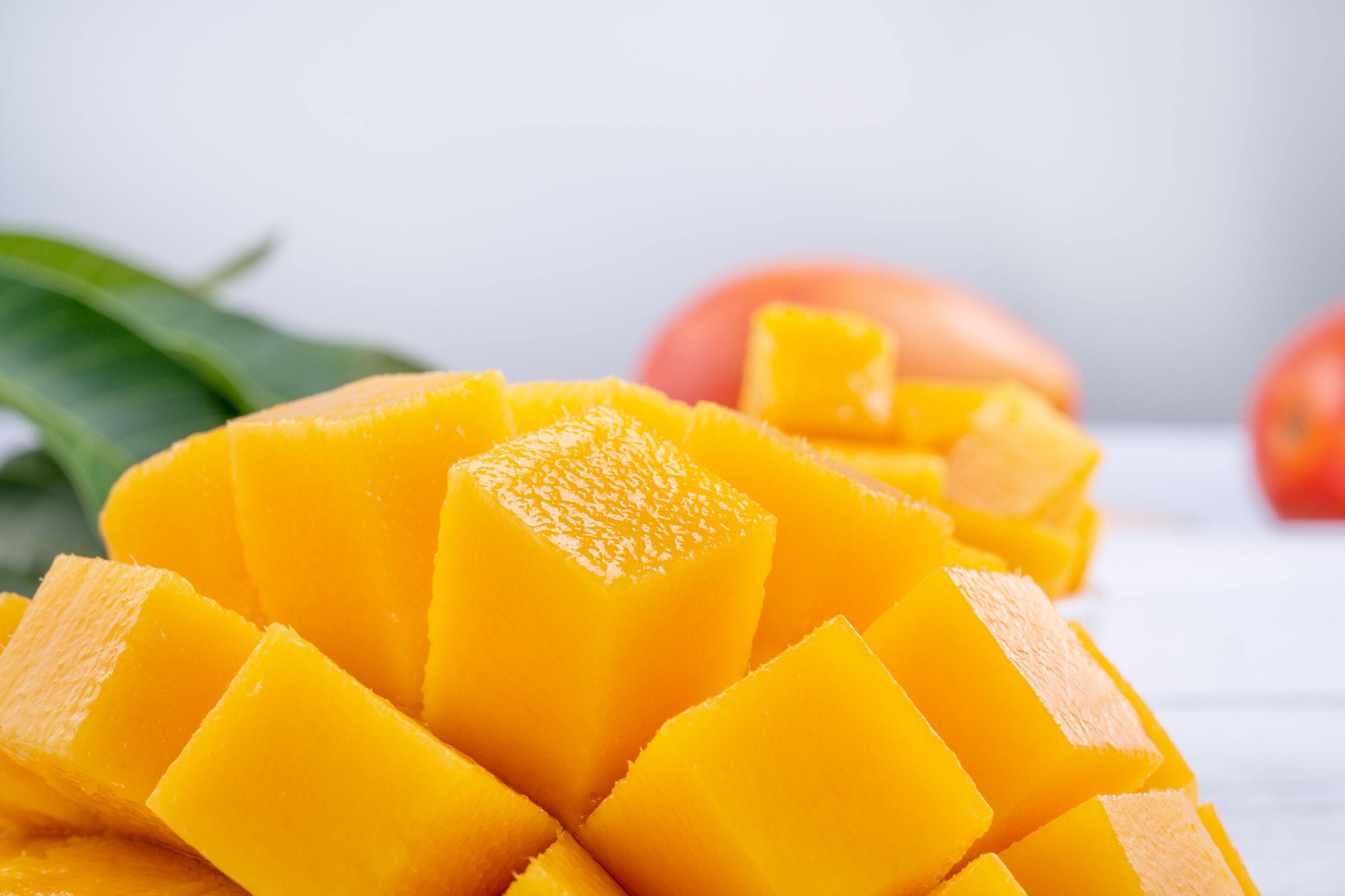 137433672_l 137433672_l