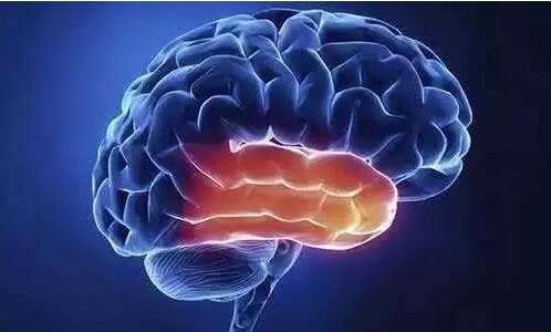 1-210202161143460 1-210202161143460